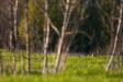 _IMG6161_fix copy.jpg